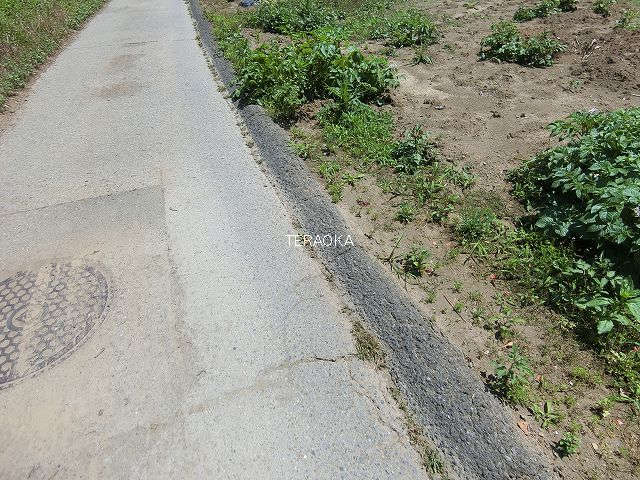 北側道路